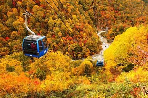 Mách bạn 3 địa điểm tuyệt đẹp để ngắm lá đỏ vào mùa thu Nhật Bản