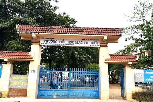 Thanh tra vụ học sinh bị 'quên' mua bảo hiểm y tế