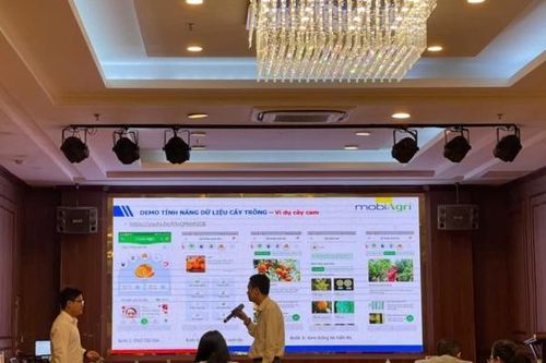 Hỗ trợ cơ sở công nghiệp nông thôn tại Tuyên Quang chuyển đổi số