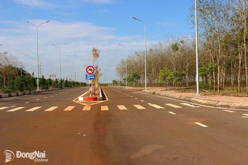 Phê duyệt phương án đấu giá khu đất cụm công nghiệp gần 56 hécta ở Cẩm Mỹ