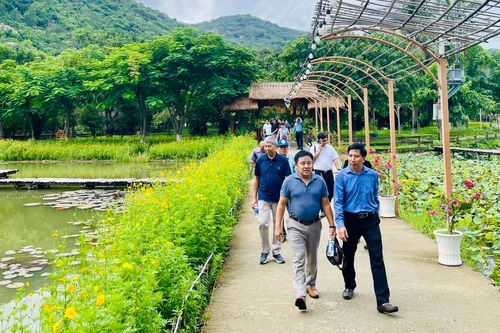 Du lịch tàu biển gặp khó