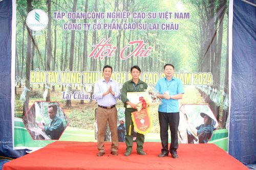Hội thi 'bàn tay vàng' thu hoạch mủ cao su năm 2024