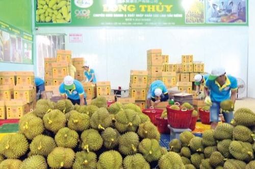 HƯỚNG TỚI KỶ NIỆM 30 NĂM NGÀY THÀNH LẬP HUYỆN BẢO LÂM: Nông thôn mới - sức sống mới nền nông nghiệp