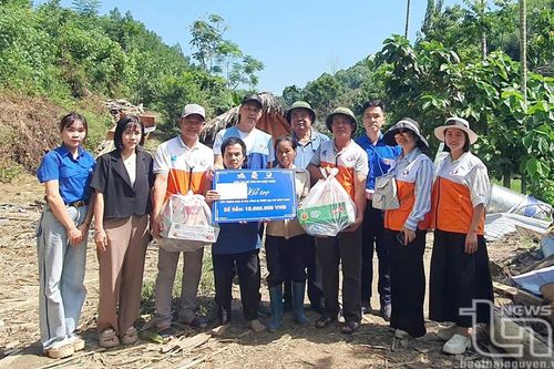 Chung tay hỗ trợ, tạo sinh kế cho người dân sau lũ
