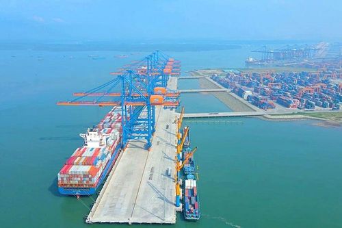 'Gã khổng lồ' tàu biển MSC sẽ tiếp tục hợp tác với Hàng hải Việt Nam (MVN) làm 'siêu cảng' tại Đà Nẵng?