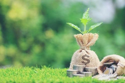 Phát triển dòng tín dụng xanh là yêu cầu cấp thiết hiện nay