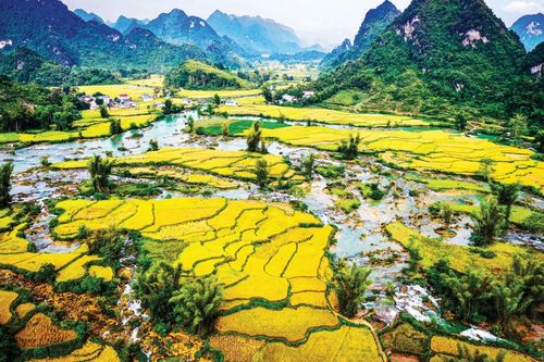 Gửi nhớ thương vào tháng Mười