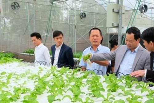 Diện mạo mới ở Mai Đình