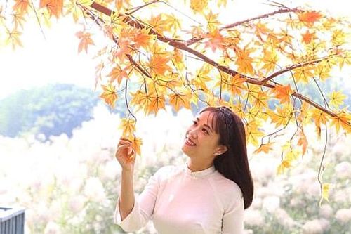 Thanh âm mới về Hà Nội