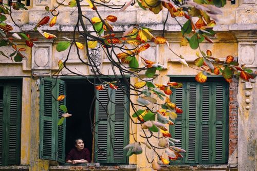 Phố phường Hà Nội vào thu