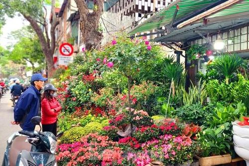 Có một Hà Nội xanh