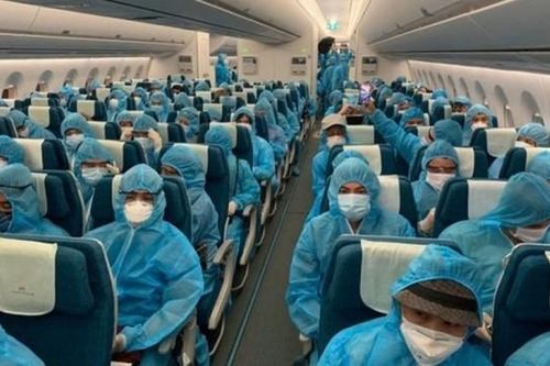 Nữ chuyên viên 2 lần nhận hối lộ trong vụ án 'chuyến bay giải cứu'