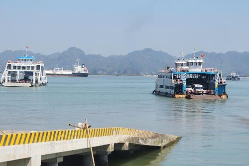 Thực hư thông tin một số phà 'đứng chơi' tại bến Đồng Bài