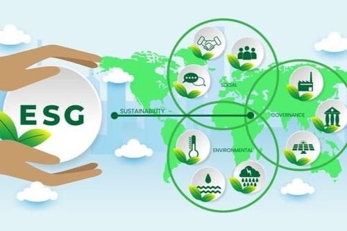 Doanh nghiệp Việt có thể 'hút vốn xanh' nhờ thực hành ESG