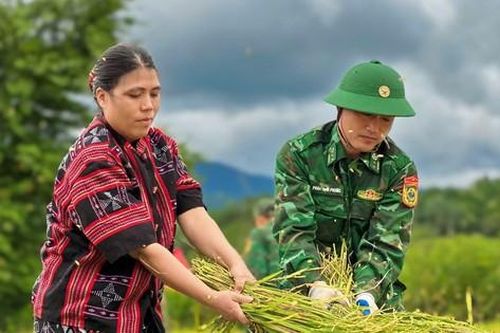 Rộn ràng ngày mùa nơi biên giới A Lưới