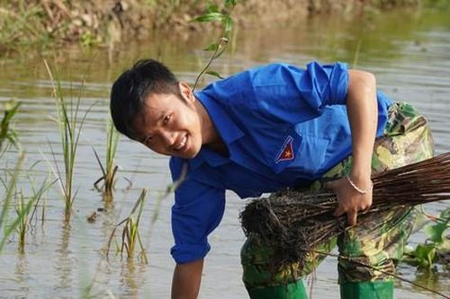 Thanh niên lội bùn trồng 6.000 cây xanh làm đẹp thành phố