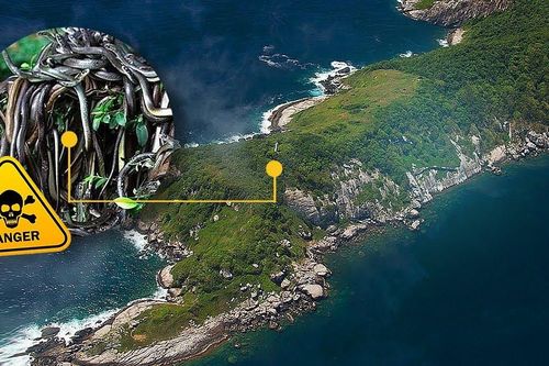 Bí mật đáng sợ ở hòn đảo tuyệt đẹp nhưng không ai dám cư trú
