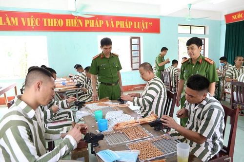 Nghị định mới quy định chi tiết thi hành một số điều của Luật Thi hành án hình sự