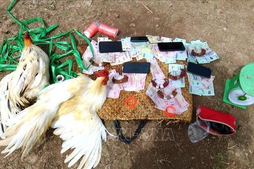 Triệt xóa điểm đá gà ăn tiền, mua bán trái phép ma túy