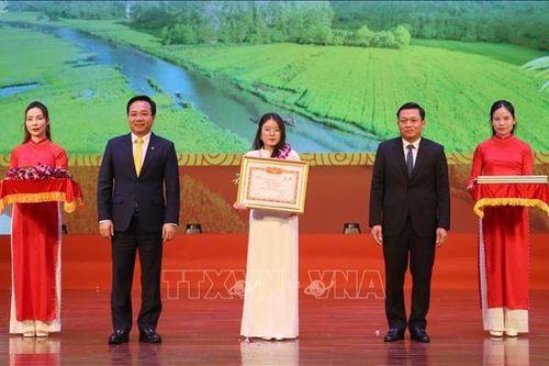 Ninh Bình: Vinh danh học sinh, sinh viên, vận động viên đạt thành tích cao