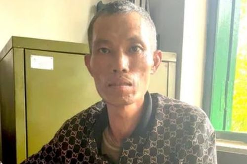 Đối tượng cưa hạ trái phép hàng trăm m3 gỗ ra đầu thú