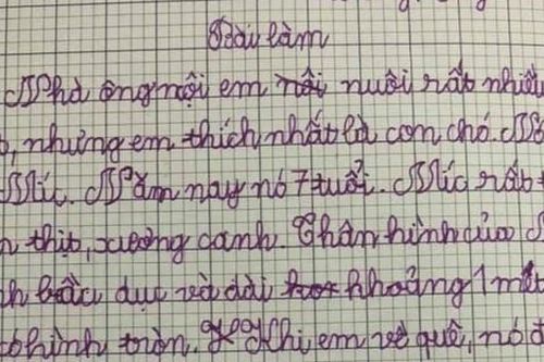 Học sinh tiểu học làm bài văn tả con chó, một chi tiết viết ra khiến dân tình cười ngất