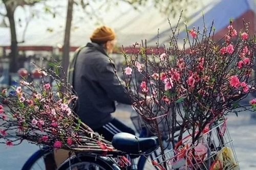 Vì sao không nên cố định lịch nghỉ Tết hàng năm?