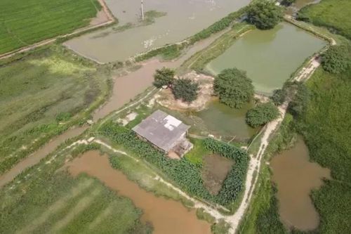 Vì sao giải ngân vốn đầu tư công ở Bắc Ninh vẫn rất thấp?