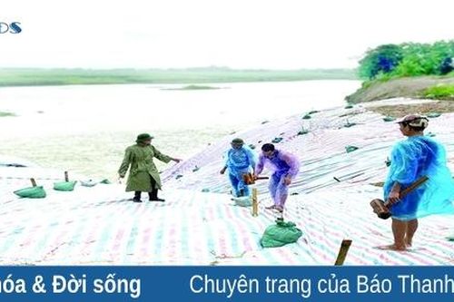 Nỗi lo sạt lở nhiều đoạn đê, bờ bãi sông Chu ở Thọ Xuân