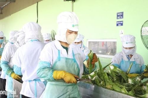 Thương hiệu Việt tham gia chuỗi cung ứng toàn cầu