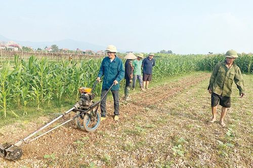 Sáng tạo nhà nông - khơi nguồn đổi mới