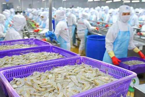 Bất chấp các khó khăn, doanh số tháng 9 của Thực phẩm Sao Ta (FMC) vẫn tăng 48%