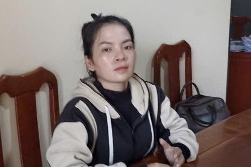 Vào bệnh viện chiếm đoạt trẻ sơ sinh, lừa bạn trai là con của mình