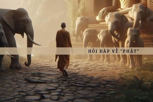 Một vài câu hỏi phổ biến về 'Phật'