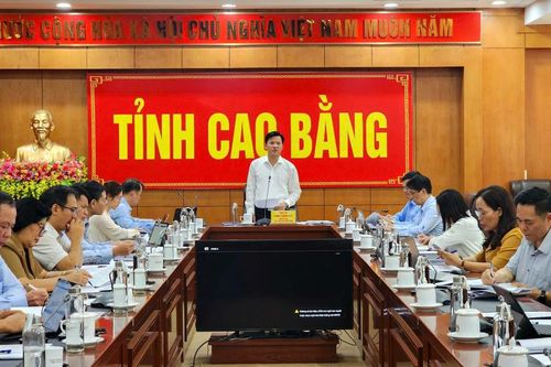 Họp Hội đồng tư vấn xác định nhiệm vụ khoa học và công nghệ thực hiện từ năm 2025