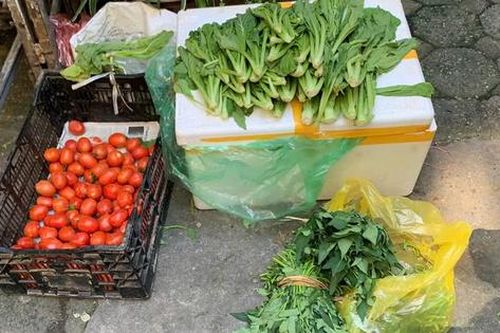 Giá rau tăng vọt sau bão: Nông dân chật vật khắc phục, người tiêu dùng chia sẻ