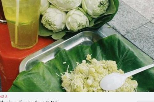 Người người bắt trend sự kiện 'dậy từ 7 giờ sáng đi ngắm thu Hà Nội'