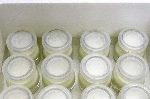 Cách bảo quản sữa chua đúng cách và bảo quản khi không có tủ lạnh