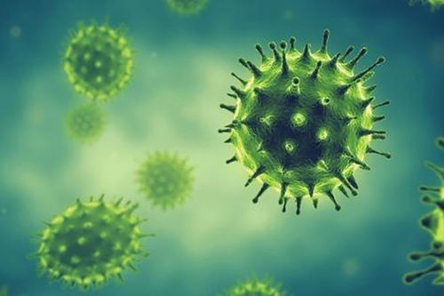 Những điều cần biết về virus cúm A