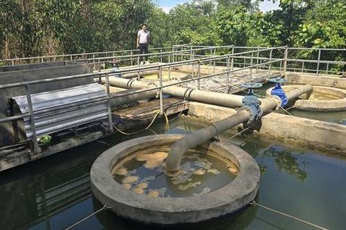 Nhiều điểm lấy nước thô đầu vào nhà máy ở Nghệ An bị ô nhiễm