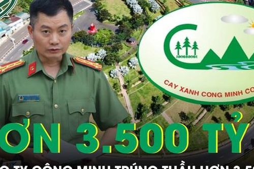 Công ty Cây xanh Công Minh thông đồng trúng hàng trăm gói thầu, trị giá hơn 3.500 tỷ