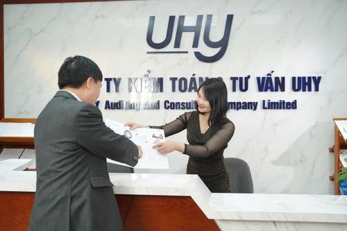 Hai sếp công ty kiểm toán bị đình chỉ tư cách kiểm toán