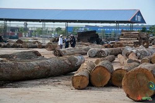 Sửa đổi quy định Hệ thống bảo đảm gỗ hợp pháp Việt Nam