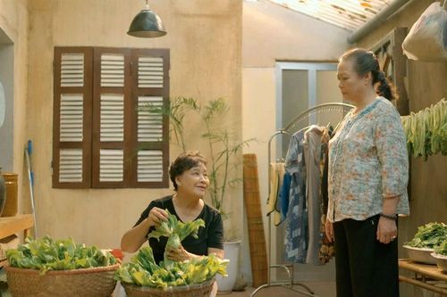 Phim Hoa sữa về trong gió: Chữ tình đong đầy