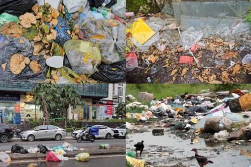 Hà Nội: Bãi tập kết rác thải tự phát gây mất mỹ quan đô thị