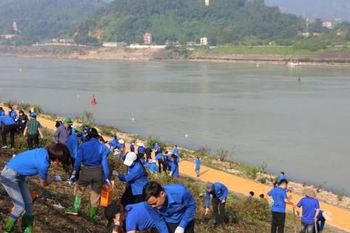 Tuổi trẻ Hòa Bình chung tay bảo vệ môi trường bờ sông Đà