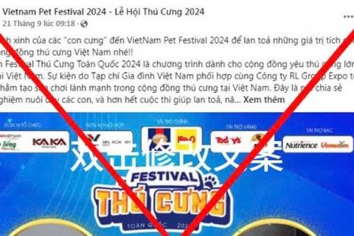 Cảnh báo giả mạo chương trình của Gia đình Việt Nam để lừa đảo