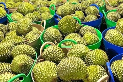 VKSND huyện Cai Lậy kiến nghị phòng ngừa tội phạm và vi phạm pháp luật