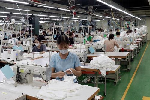 Thu nhập bình quân của người lao động trong quý III/2024 đạt 7,6 triệu đồng/tháng