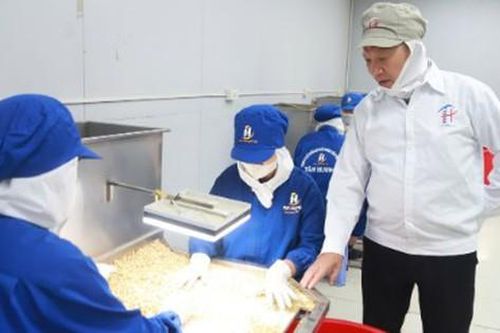 Bán thứ rẻ bèo là 'nhân sâm người nghèo', ông nông dân nhẹ nhàng kiếm 95 tỷ đồng/năm